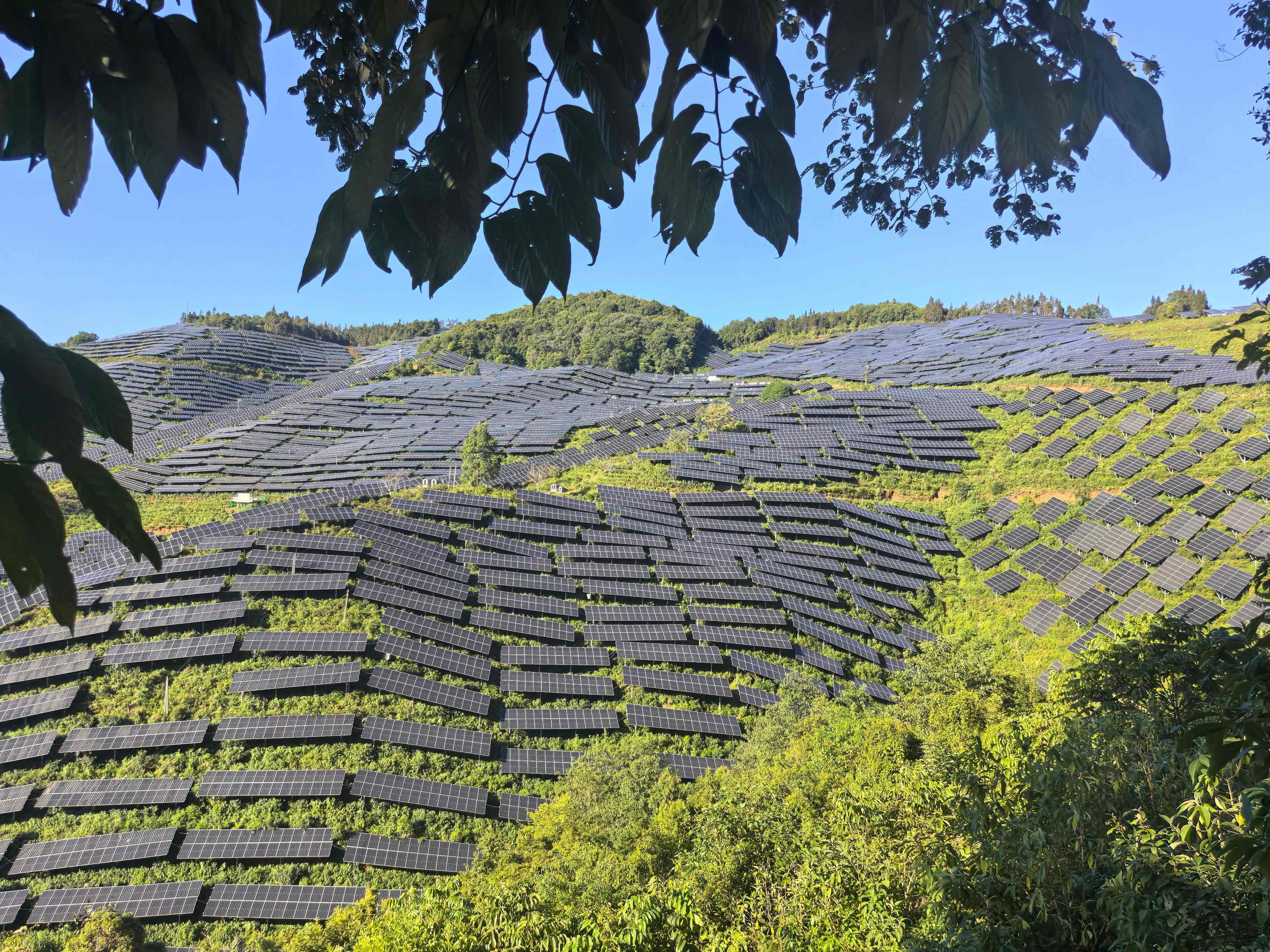 微信图片_20251226122111(1)(1)