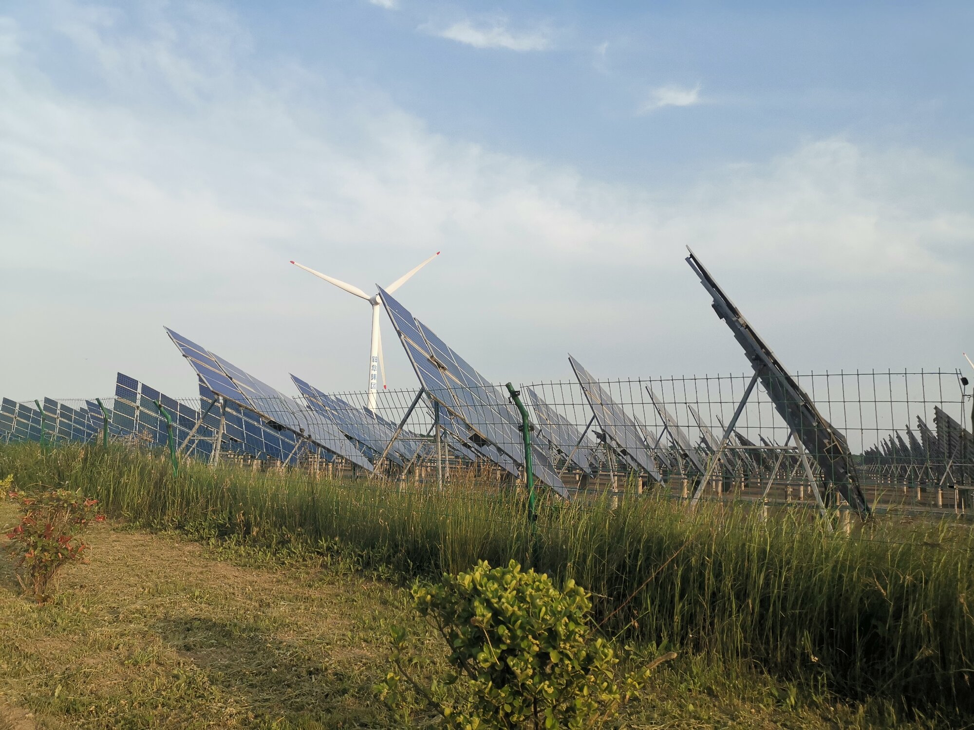 集中式风光电站